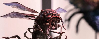 ​怒晴湘西六翅蜈蚣是什么