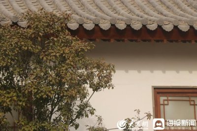 ​组图丨邂逅古色古香的梁山春园