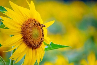 ​男人五十岁以后，还会对外面女人动心吗