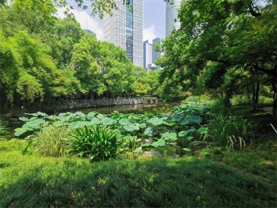 ​暑假余额不足，推荐带娃去杭州嘟嘟城体验最后的狂欢