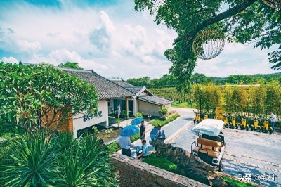 ​惠州民宿评选揭晓！10家荣膺“最美”，10家获誉“最具人气”