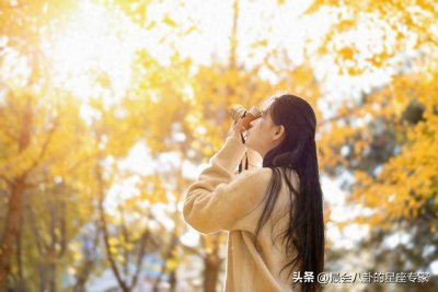 ​新年！白羊座与金牛座事业腾飞如虎添翼，期待辉煌成就！