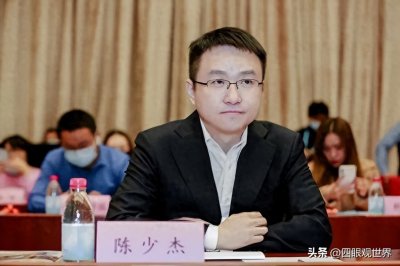 ​斗鱼CEO陈少杰栽了！亿万富豪涉嫌开设赌场罪，斗鱼遭遇大震荡