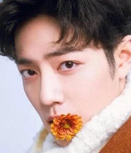 ​为捍卫权益，守护公正，肖战起诉科技公司侵权胜诉